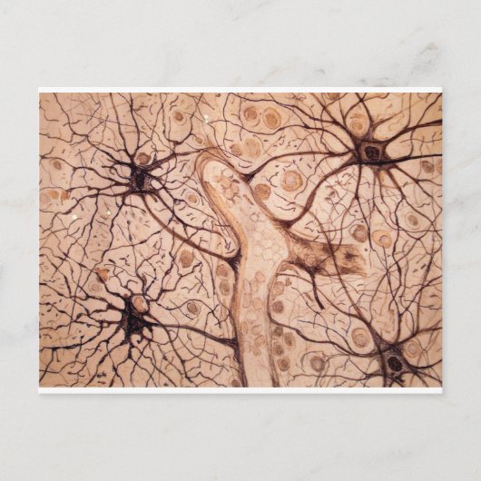 Neuronen van Cajal 3 Briefkaart (Voorkant)