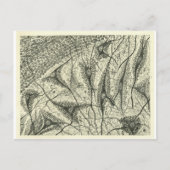 Neuronen van Cajal 4 Briefkaart (Voorkant)