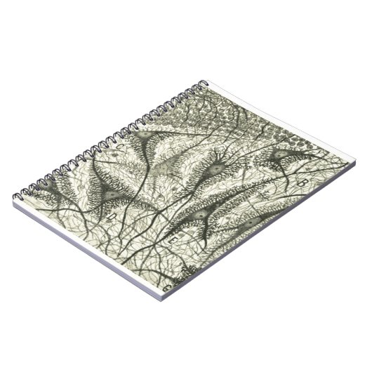 Neuronen van Cajal 4 Notitieboek (Linkerzijde)