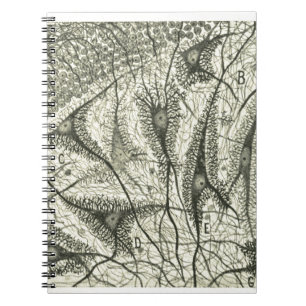 Neuronen van Cajal 4 Notitieboek