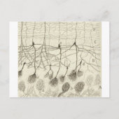 Neuronen van Cajal 8 Briefkaart (Voorkant)