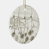Neuronen van Cajal 8 Keramisch Ornament (Rechts)