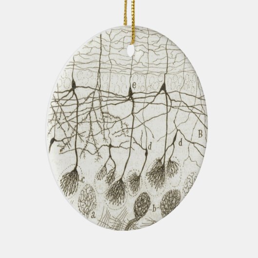 Neuronen van Cajal 8 Keramisch Ornament (Rechts)