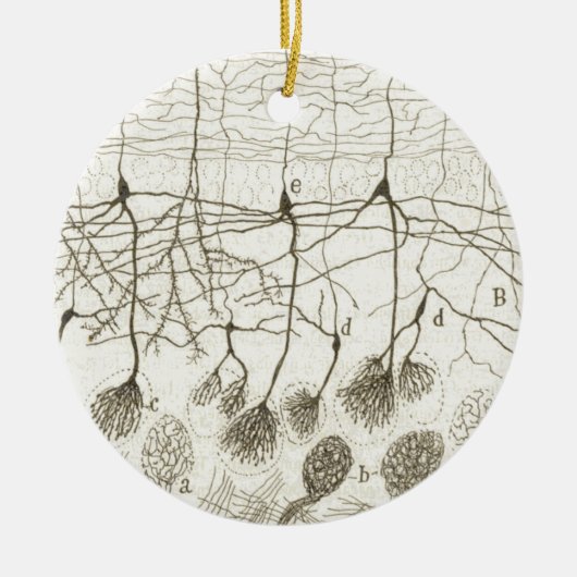 Neuronen van Cajal 8 Keramisch Ornament (Voorkant)