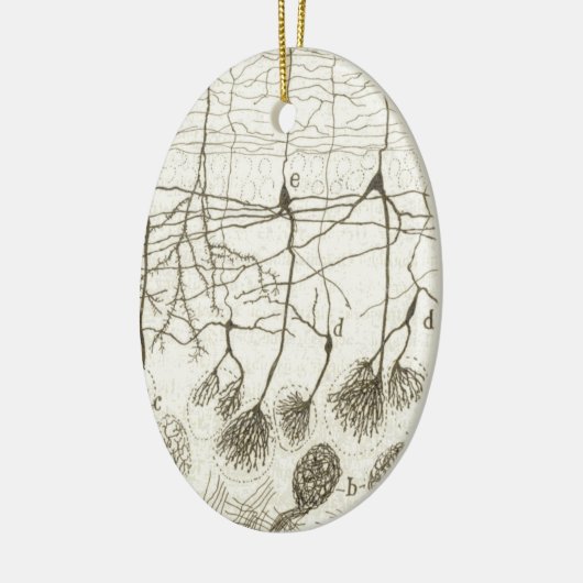 Neuronen van Cajal 8 Keramisch Ornament (Links)