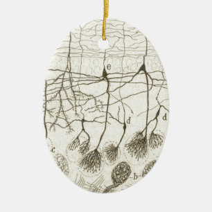 Neuronen van Cajal 8 Keramisch Ornament