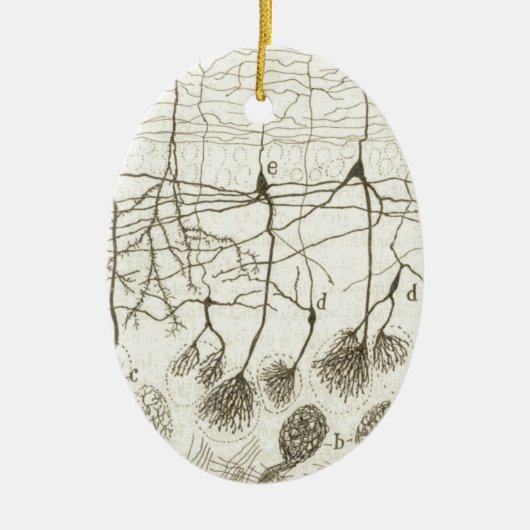 Neuronen van Cajal 8 Keramisch Ornament (Voorkant)