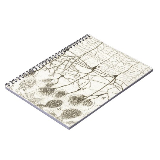 Neuronen van Cajal 8 Notitieboek (Linkerzijde)