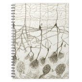 Neuronen van Cajal 8 Notitieboek (Voorkant)