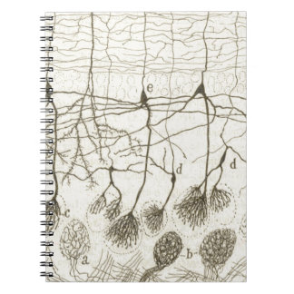 Neuronen van Cajal 8 Notitieboek