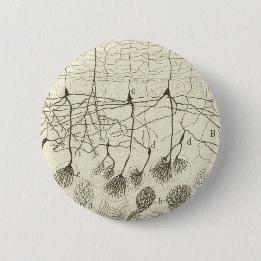 Neuronen van Cajal 8 Ronde Button 5,7 Cm (Voorkant)