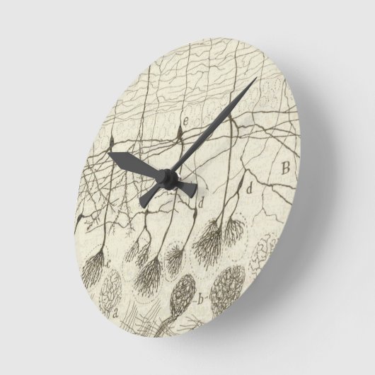 Neuronen van Cajal 8 Ronde Klok (Hoek)
