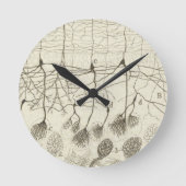 Neuronen van Cajal 8 Ronde Klok (Voorkant)