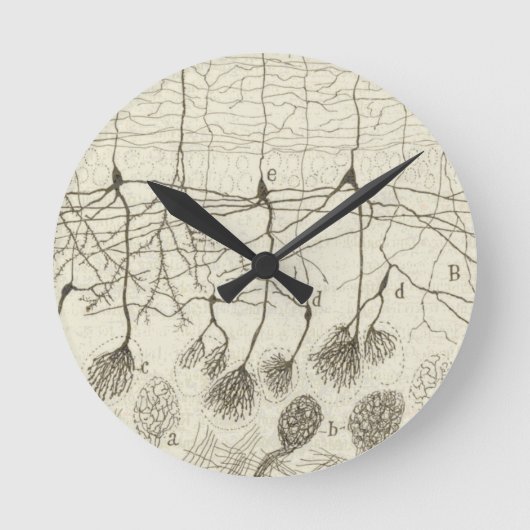 Neuronen van Cajal 8 Ronde Klok (Voorkant)