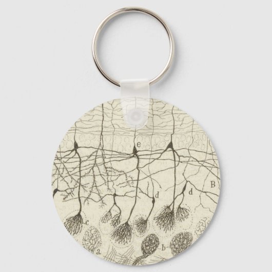 Neuronen van Cajal 8 Sleutelhanger (Voorkant)