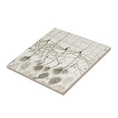 Neuronen van Cajal 8 Tegeltje (Zijkant)