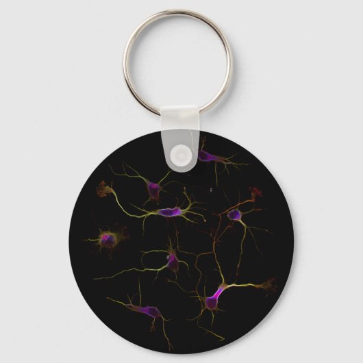 NeuronRoots KeyRing Sleutelhanger (Voorkant)