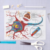 Neurons Nerve Healthy Tissuepapier (Craft)