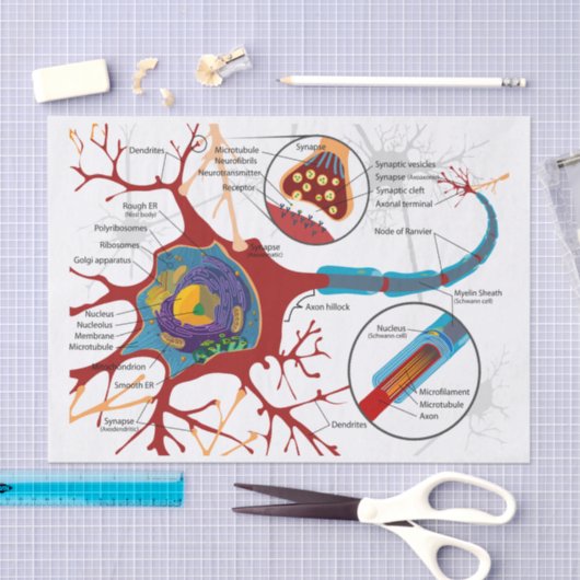 Neurons Nerve Healthy Tissuepapier (Craft)