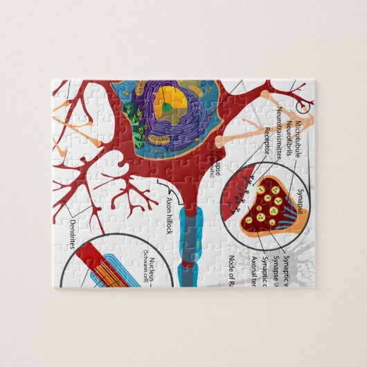 Neurons Nerve Style Legpuzzel (Horizontaal)