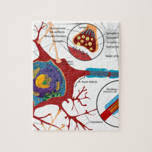 Neurons Nerve Style Legpuzzel