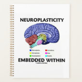 Neuroplasticiteit ingebed in hersenanatomie planner (Voorkant)