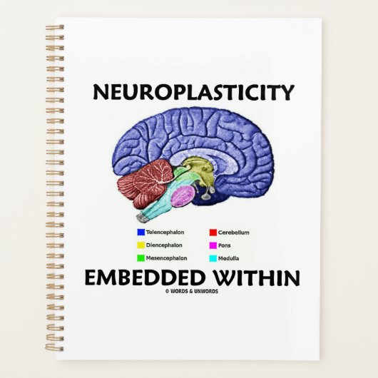 Neuroplasticiteit ingebed in hersenanatomie planner (Voorkant)