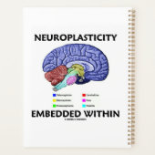 Neuroplasticiteit ingebed in hersenanatomie planner (Achterkant)