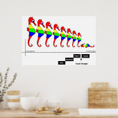 Neuroplasticiteit Poster (Keuken)