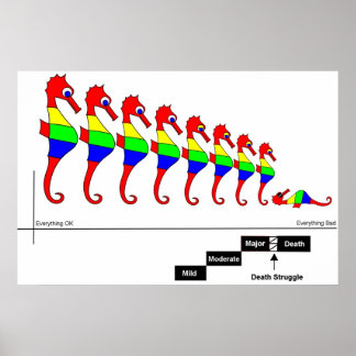Neuroplasticiteit Poster