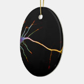 Neuroscience, neuron , science keramisch ornament (Links)