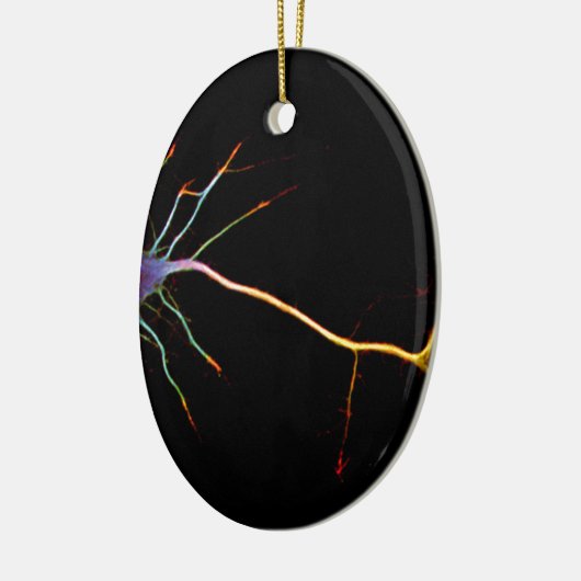 Neuroscience, neuron , science keramisch ornament (Links)