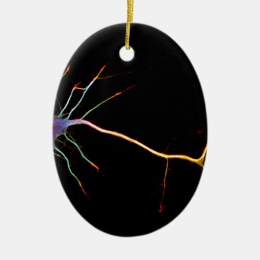 Neuroscience, neuron , science keramisch ornament (Voorkant)
