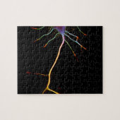 Neuroscience, neuron , science legpuzzel (Horizontaal)