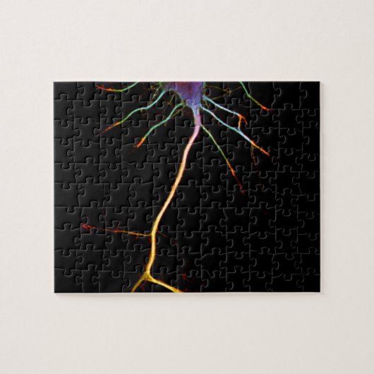 Neuroscience, neuron , science legpuzzel (Horizontaal)