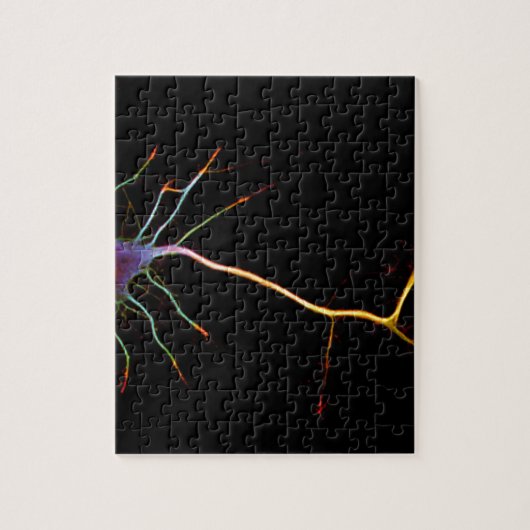 Neuroscience, neuron , science legpuzzel (Verticaal)