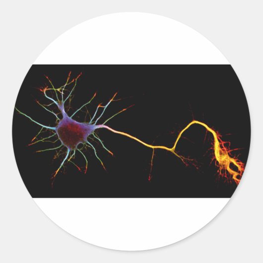 Neuroscience, neuron , science ronde sticker (Voorkant)