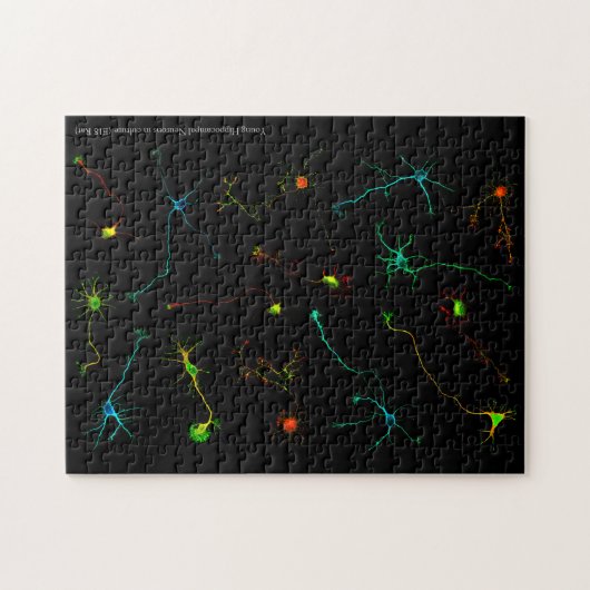 NeuroStage3 Puzzle Legpuzzel (Horizontaal)