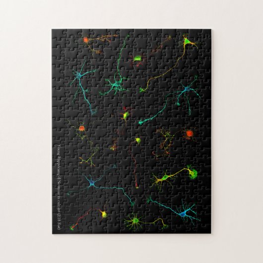 NeuroStage3 Puzzle Legpuzzel (Verticaal)