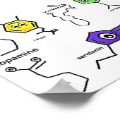 Neurotransmitter Poster (Hoek)