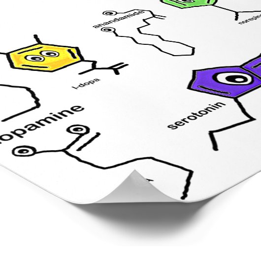 Neurotransmitter Poster (Hoek)
