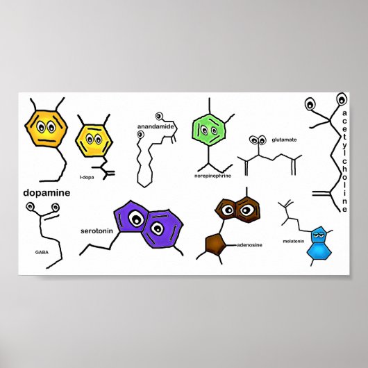 Neurotransmitter Poster (Voorkant)