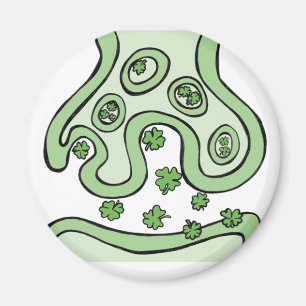 Neurotransmitters Magneet