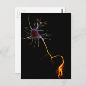 Neurowetenschap, neuron, wetenschap briefkaart (Voorkant / Achterkant)