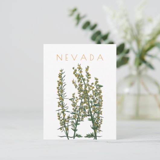  neusbloem komt midden eeuw briefkaart (Staand voorkant)