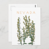  neusbloem komt midden eeuw briefkaart (Voorkant / Achterkant)