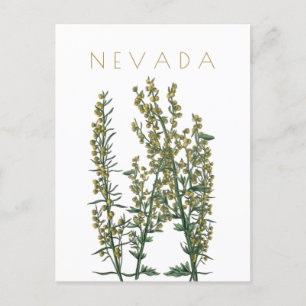  neusbloem komt midden eeuw briefkaart