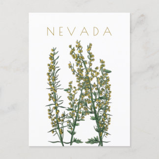 neusbloem komt midden eeuw briefkaart