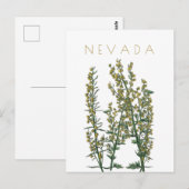  neusbloem komt midden eeuw briefkaart (Voorkant / Achterkant)