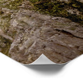  Neuschwanstein Bayern 16 x 20 inch Poster (Hoek)